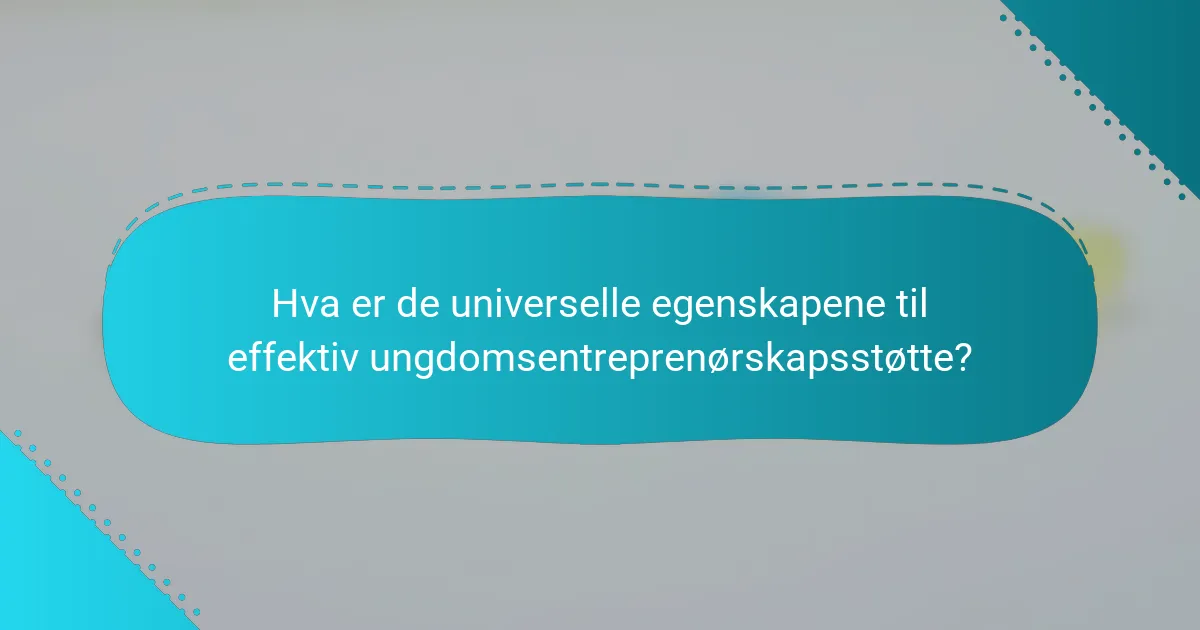 Hva er de universelle egenskapene til effektiv ungdomsentreprenørskapsstøtte?